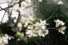 hanging_on_reduced